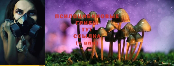 метамфетамин Гусь-Хрустальный