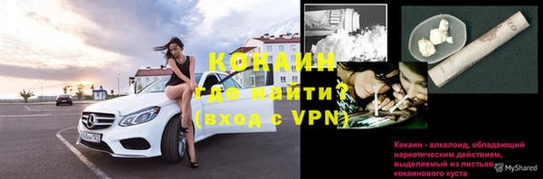 тгк Гусев
