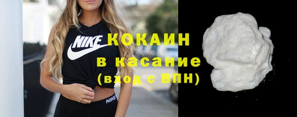 тгк Гусев