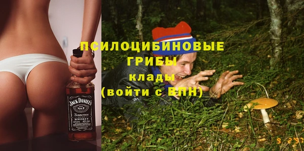 тгк Гусев
