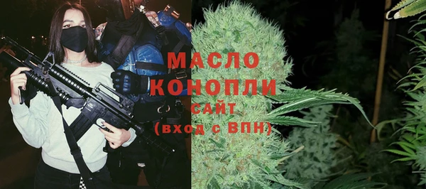 тгк Гусев