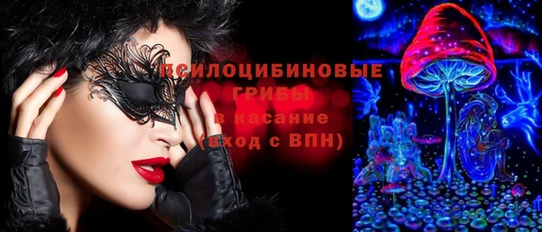 тгк Гусев