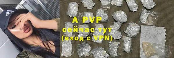 хмурый Гусиноозёрск