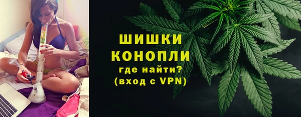 тгк Гусев