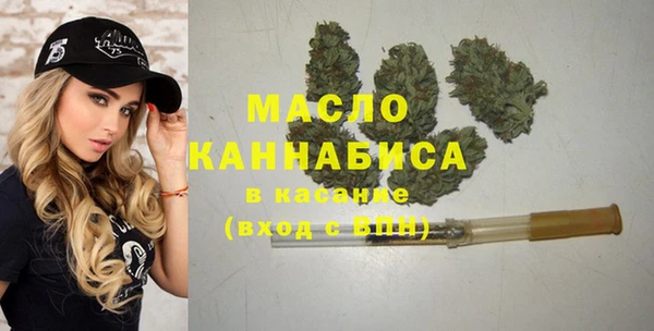 тгк Гусев