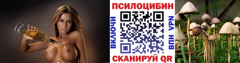 Галлюциногенные грибы мицелий  как найти закладки  Евпатория 